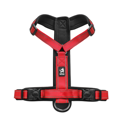 Polyester Dog Harness For Puppy Adjustable Nylon Pet Chest Back Traction Rope