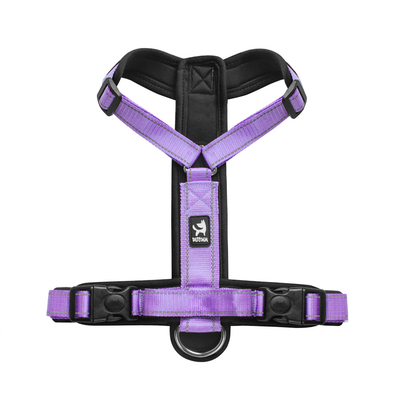 Polyester Dog Harness For Puppy Adjustable Nylon Pet Chest Back Traction Rope