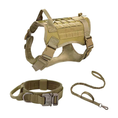 Two Handle Training Dog Leash For Medium And Large Dogs Custom Nylon Tactical Dog Leash