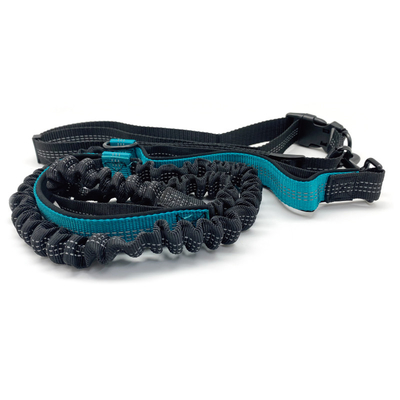 Dual Handle Elastic Bungee Hands Free Dog Running Leash With Adjustable Waist Belt