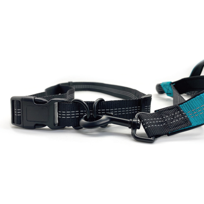 Dual Handle Elastic Bungee Hands Free Dog Running Leash With Adjustable Waist Belt