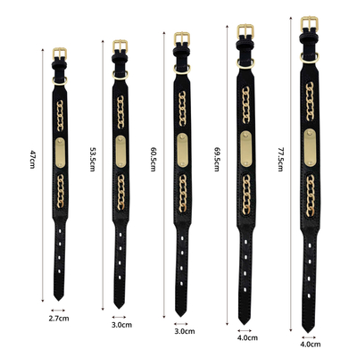 Genuine Leather Dog Collars With Metal Braided Design Engraved Nameplate