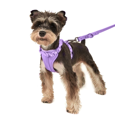 Dog Pet Harness Set PVC Material Dog Leash Comfortable Traction