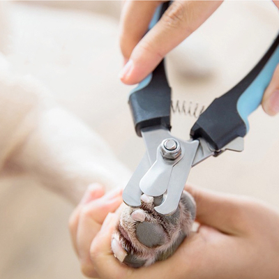 Stainless Steel Pet Nail Clipper With Safety Guard For Dogs Cats