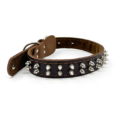 Genuine Leather Pet Collar with Studded Design – Stylish, Durable, and Comfortable