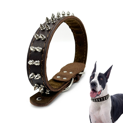 Genuine Leather Pet Collar with Studded Design – Stylish, Durable, and Comfortable