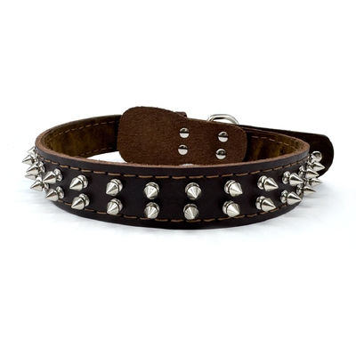 Genuine Leather Pet Collar with Studded Design – Stylish, Durable, and Comfortable