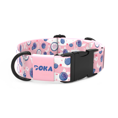 Colorful Nylon Dog Collar – Adjustable, Durable, Lightweight Pet Collar For All Dogs
