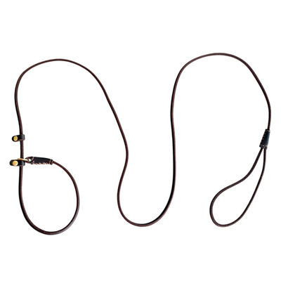 Lightweight Adjustable Durable Pet Genuine Leather Slip Lead For Small Medium Dogs