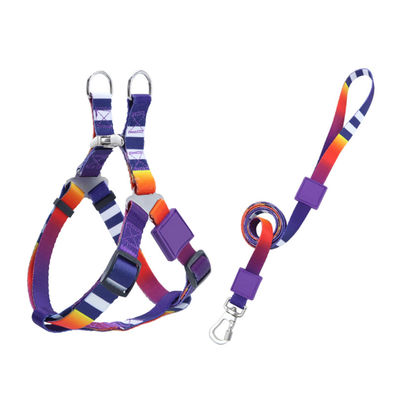 Durable Nylon Pet Harness And Leash Set Adjustable Safe Comfortable For Dogs