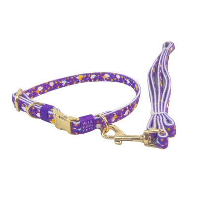 Durable Nylon Pet Collar And Leash Set Affordable Customizable Long-Lasting