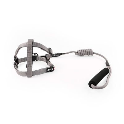 Adjustable Nylon Pet Harness And Leash Set Safe Secure And Easy For Dog Walking