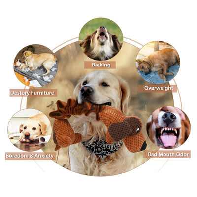Dog Plush Toys For Large Dogs With Squeaky And Crinkle Paper Interactive Pull Chew Toys
