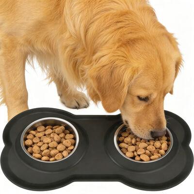Pet Bowls Set With Non-Slip Base Double Dog Cat Food Bowl Water Dish Spill-Free Durable Easy Clean