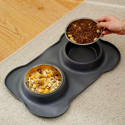 Pet Bowls Set With Non-Slip Base Double Dog Cat Food Bowl Water Dish Spill-Free Durable Easy Clean
