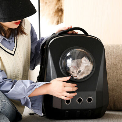 Cat Backpack Bag Clear Capsule Backpack For Hands Free Travel Or Hiking Airline Dog Carrier