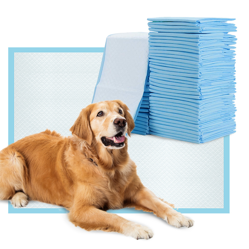 Disposable Pet Training Pads High Absorbency Pet Pee Pads For Dogs