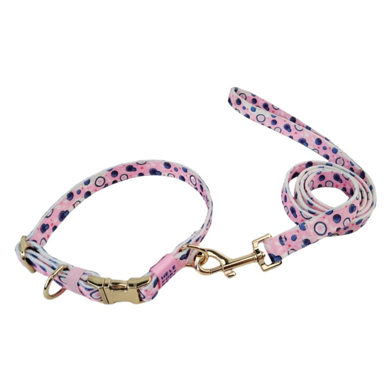 Durable Nylon Pet Collar And Leash Set Affordable Customizable Long-Lasting