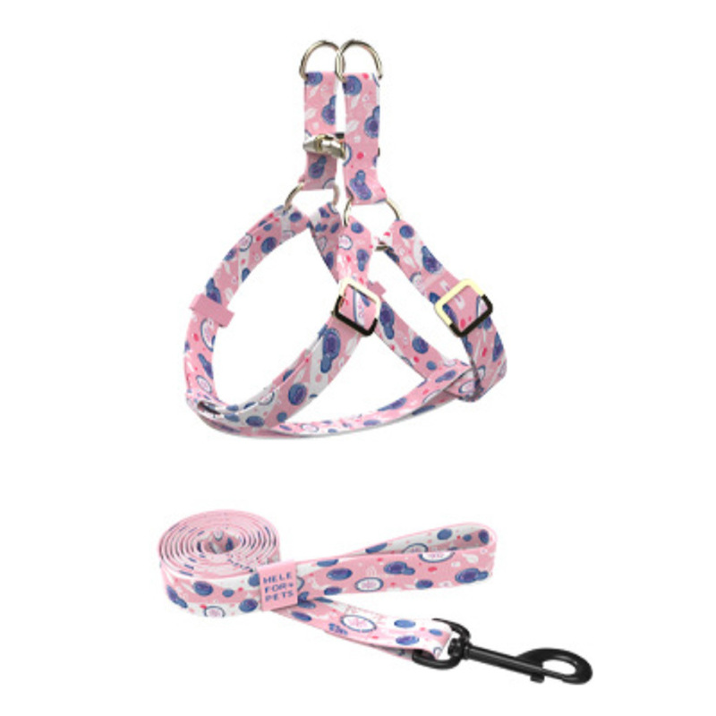 Durable Nylon Pet Leash And Harness Set Adjustable Comfortable For Small Large Dogs