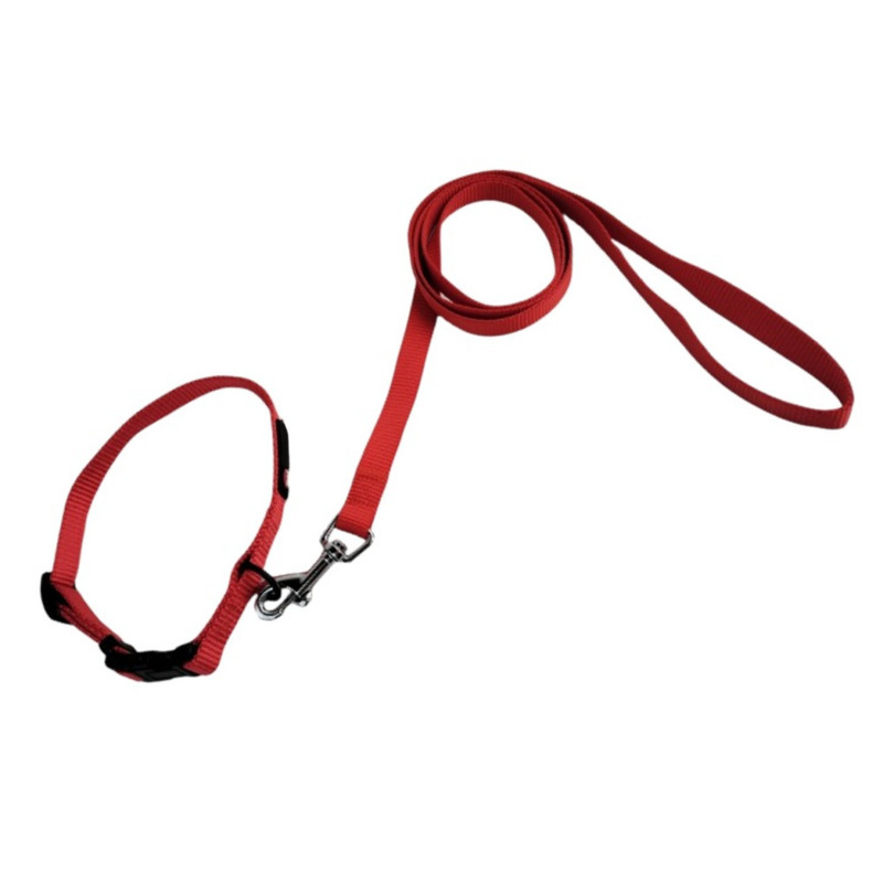 Pet Nylon Collar Leash Set Durable Adjustable Lightweight For Small Medium Dogs